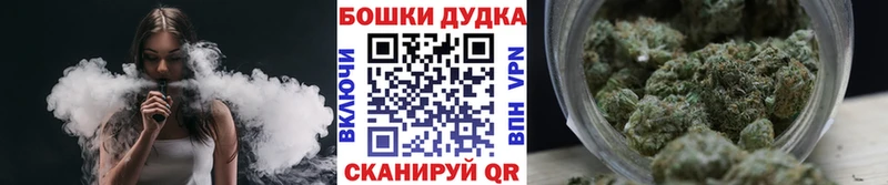 Где продают наркотики Новоалександровск Марихуана  Псилоцибиновые грибы  MDMA  Мефедрон  COCAIN  Alpha-PVP  Гашиш 
