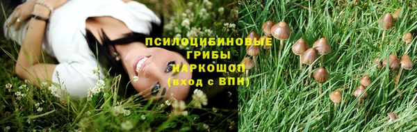 гашик Покровск