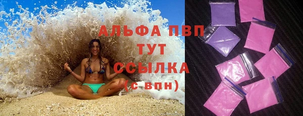 spice Аркадак