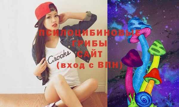 мяу мяу мука Баксан