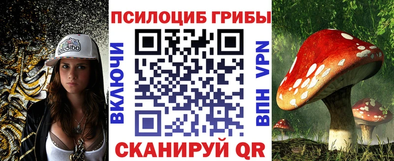 Галлюциногенные грибы Magic Shrooms  Новоалександровск 